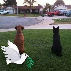 Meet your Posher, Pamela